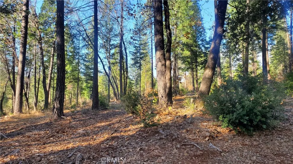 88 Coutolenc Magalia, CA 95954