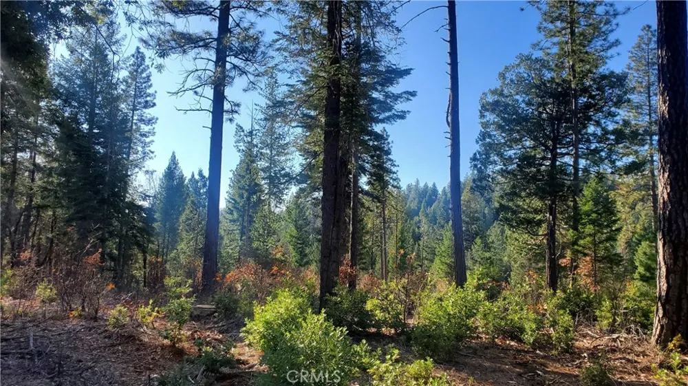 88 Coutolenc Magalia, CA 95954