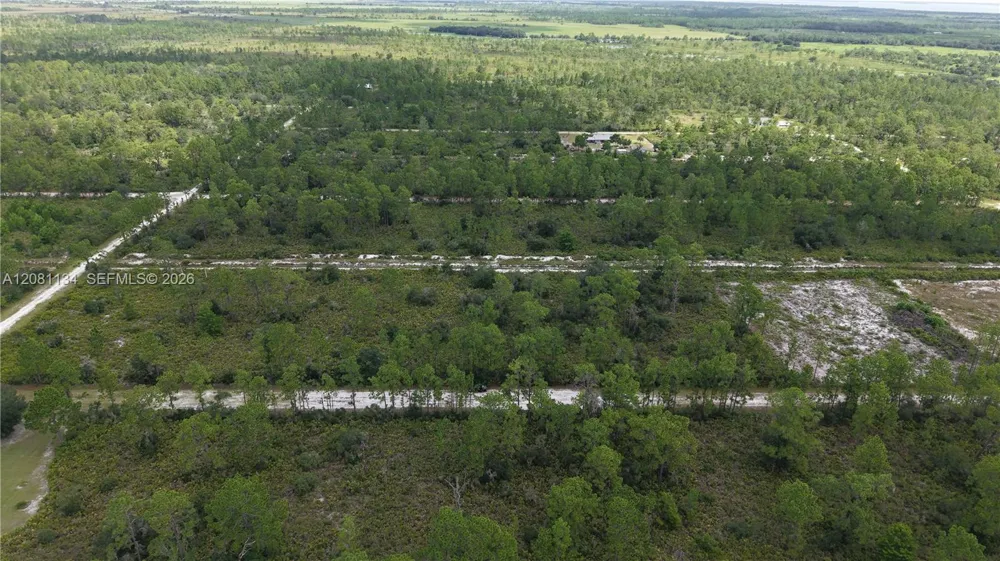 Eldorado Other City - In The State Of Florida, FL 33855