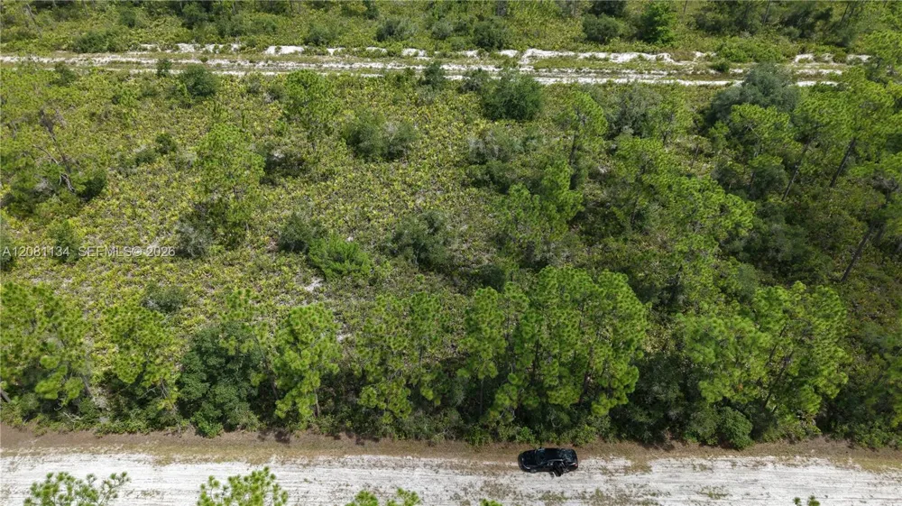 Eldorado Other City - In The State Of Florida, FL 33855