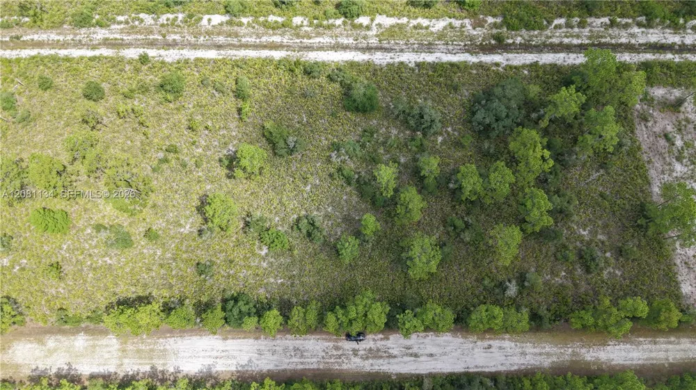 Eldorado Other City - In The State Of Florida, FL 33855