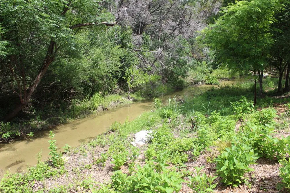 17234 E Reed Parks Road Jonestown, TX 78645