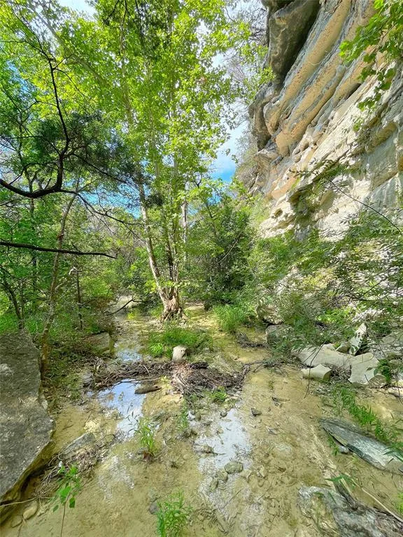 17234 E Reed Parks Road Jonestown, TX 78645