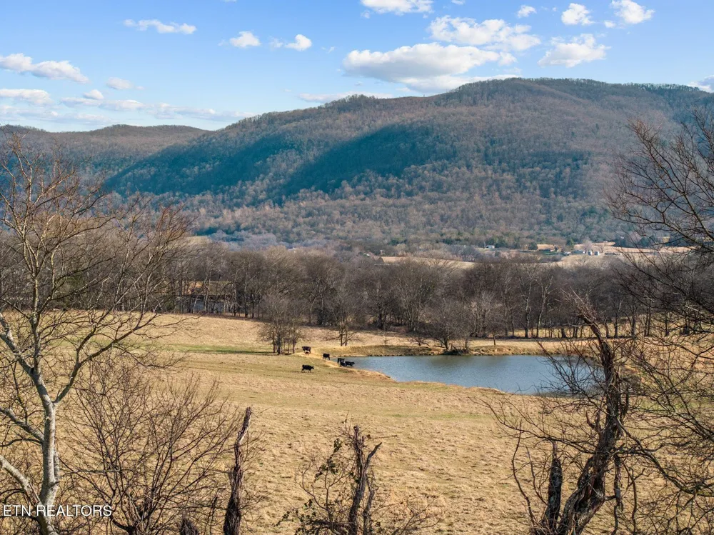 20136 Old State Highway 28 Pikeville, TN 37367