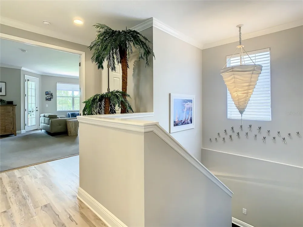 21211 CALLE ROSA DRIVE Land O Lakes, FL 34637