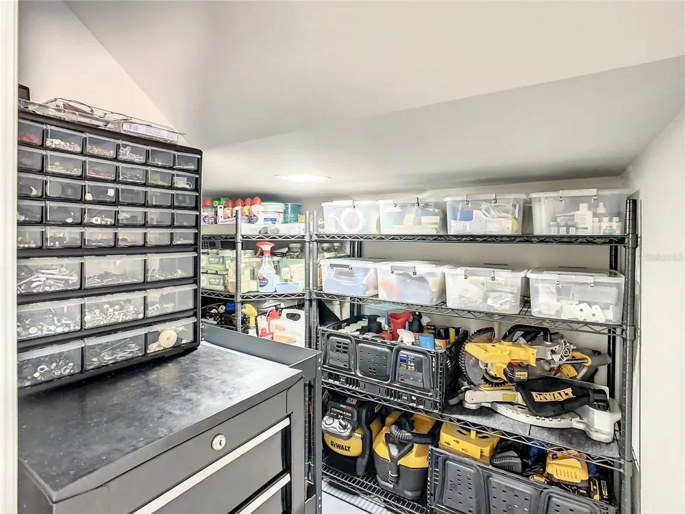 21211 CALLE ROSA DRIVE Land O Lakes, FL 34637