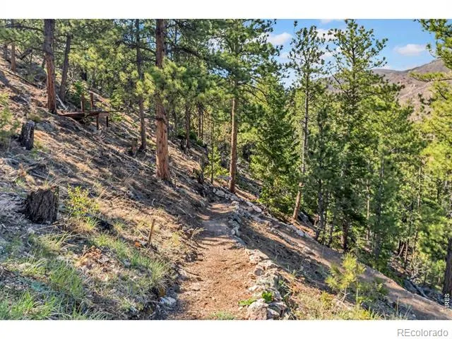 500 Bulwark Ridge Drive Glen Haven, CO 80532