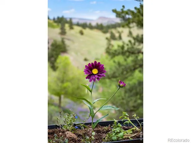 7267 Olde Stage Road Boulder, CO 80302