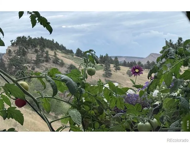7267 Olde Stage Road Boulder, CO 80302