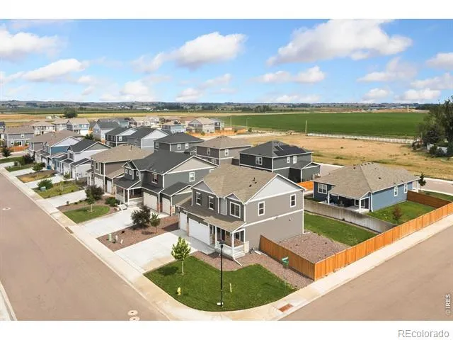 3713 Catmint Street Wellington, CO 80549
