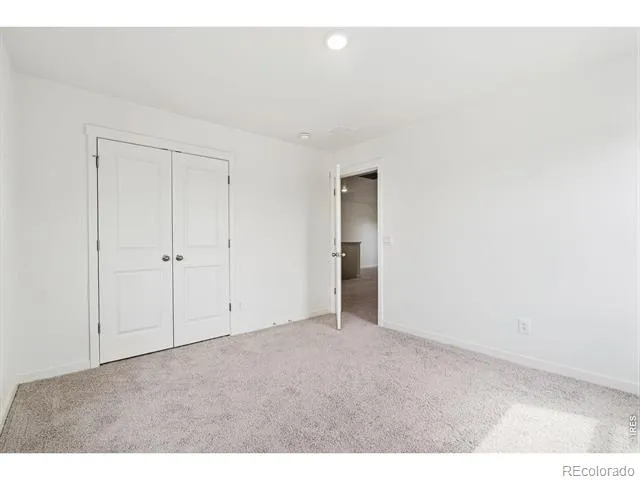 3713 Catmint Street Wellington, CO 80549