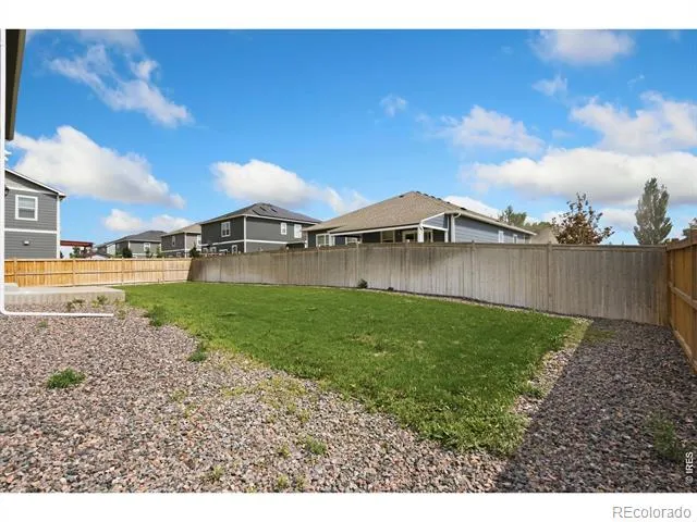 3713 Catmint Street Wellington, CO 80549