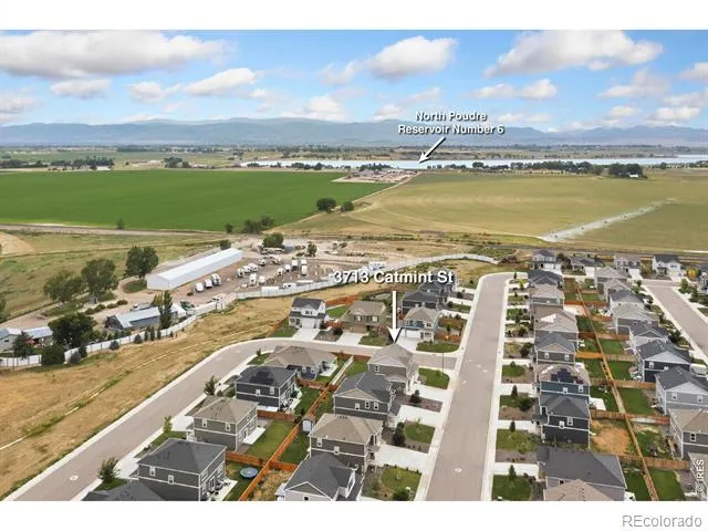 3713 Catmint Street Wellington, CO 80549