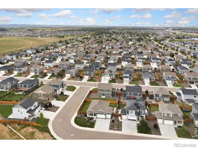 3713 Catmint Street Wellington, CO 80549