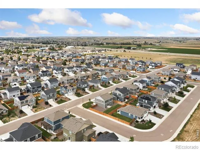 3713 Catmint Street Wellington, CO 80549