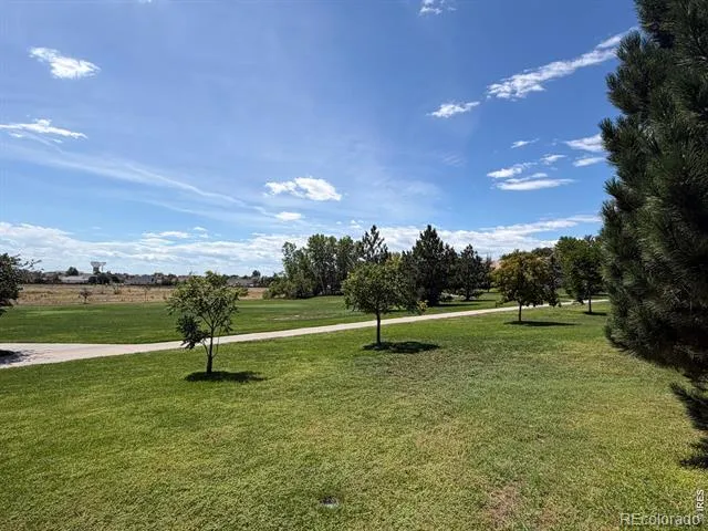 434 Stetson Court Brighton, CO 80601