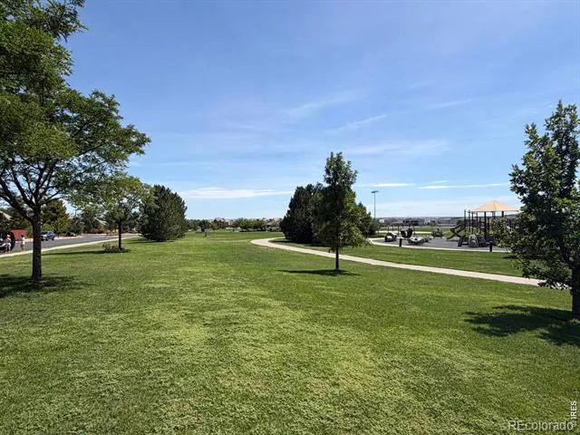 434 Stetson Court Brighton, CO 80601