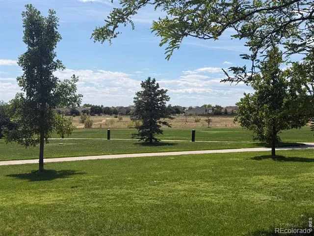 434 Stetson Court Brighton, CO 80601