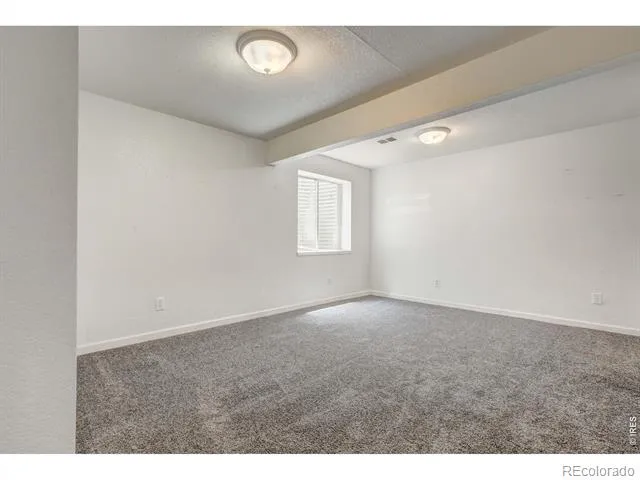 6354 Buchanan Street Fort Collins, CO 80525