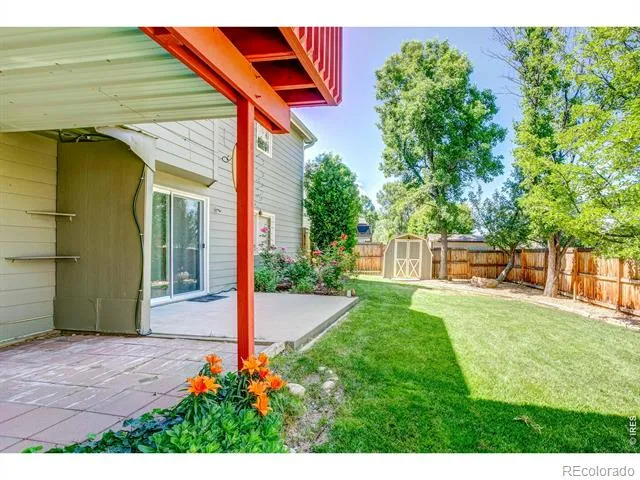 6354 Buchanan Street Fort Collins, CO 80525