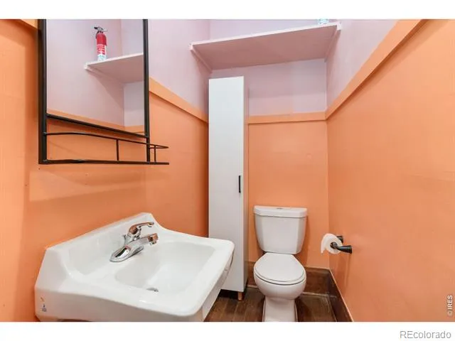 1121 Remington Street Fort Collins, CO 80524