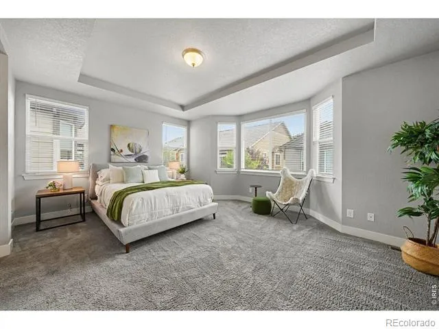 7163 Shadow Ridge Drive Fort Collins, CO 80525