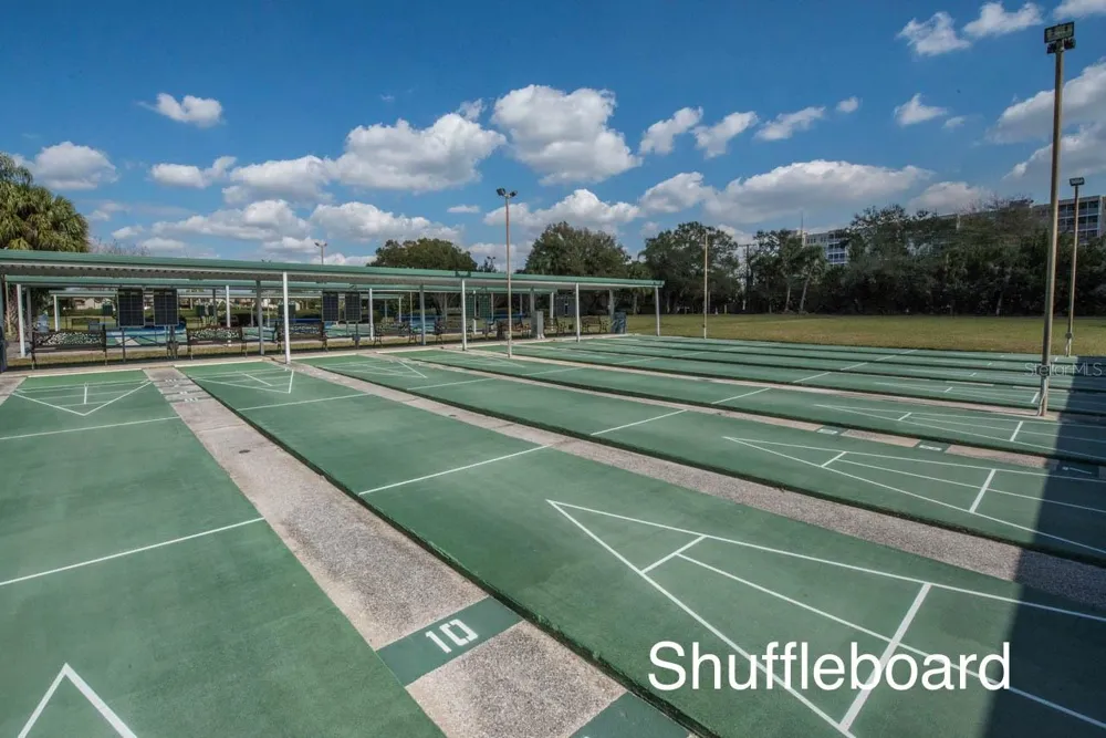1514 INGRAM DRIVE #23 Sun City Center, FL 33573