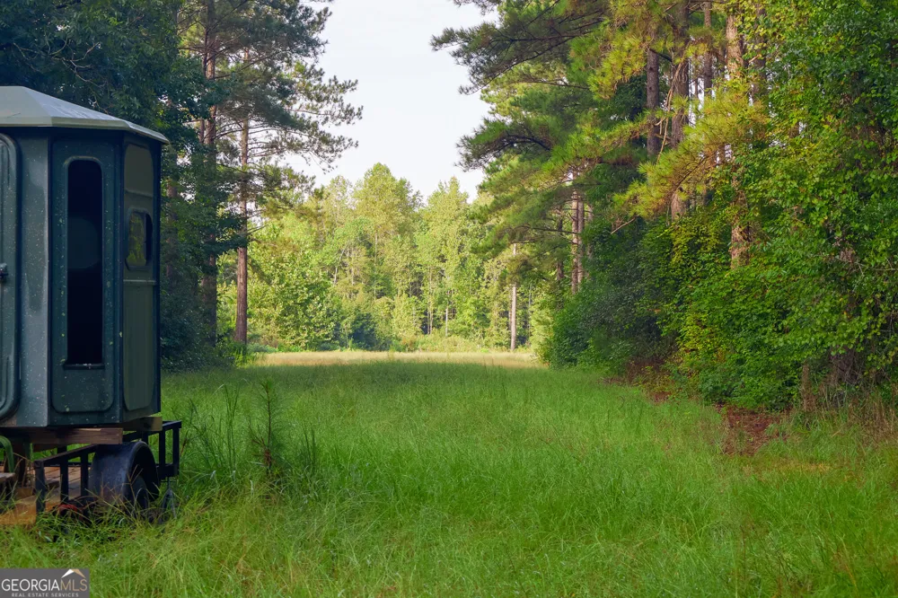 1362 Doyle RD Sardis, GA 30456
