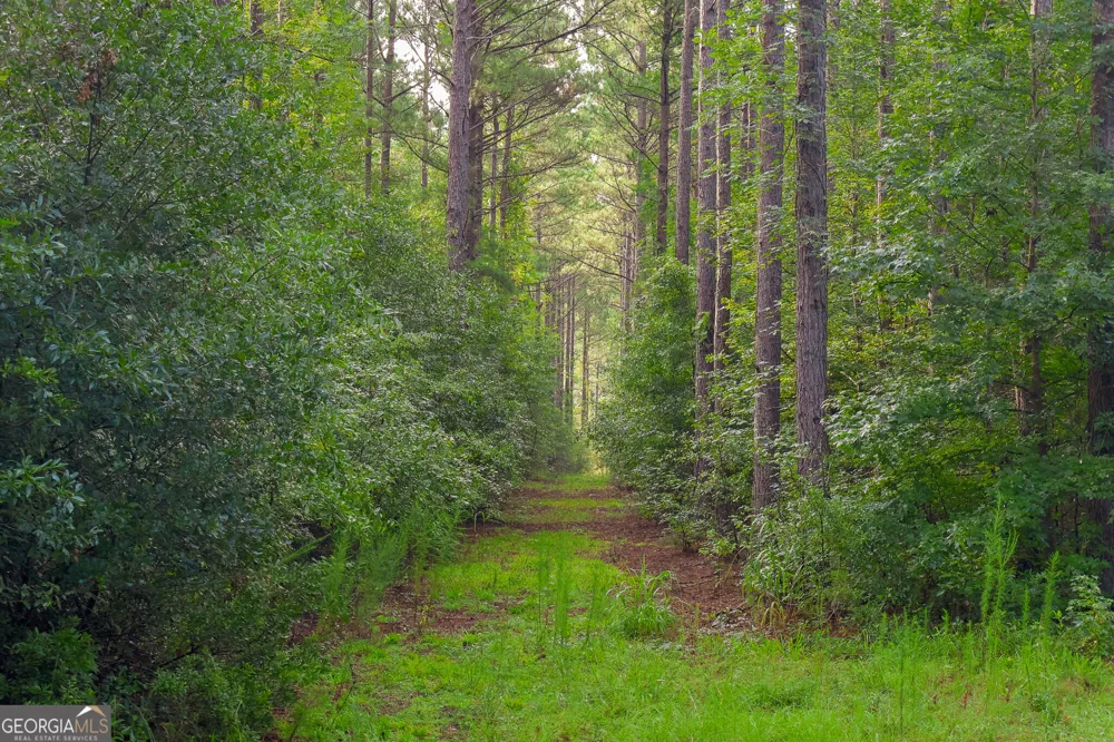 1362 Doyle RD Sardis, GA 30456