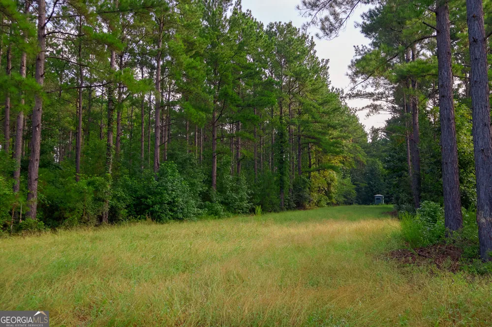 1362 Doyle RD Sardis, GA 30456