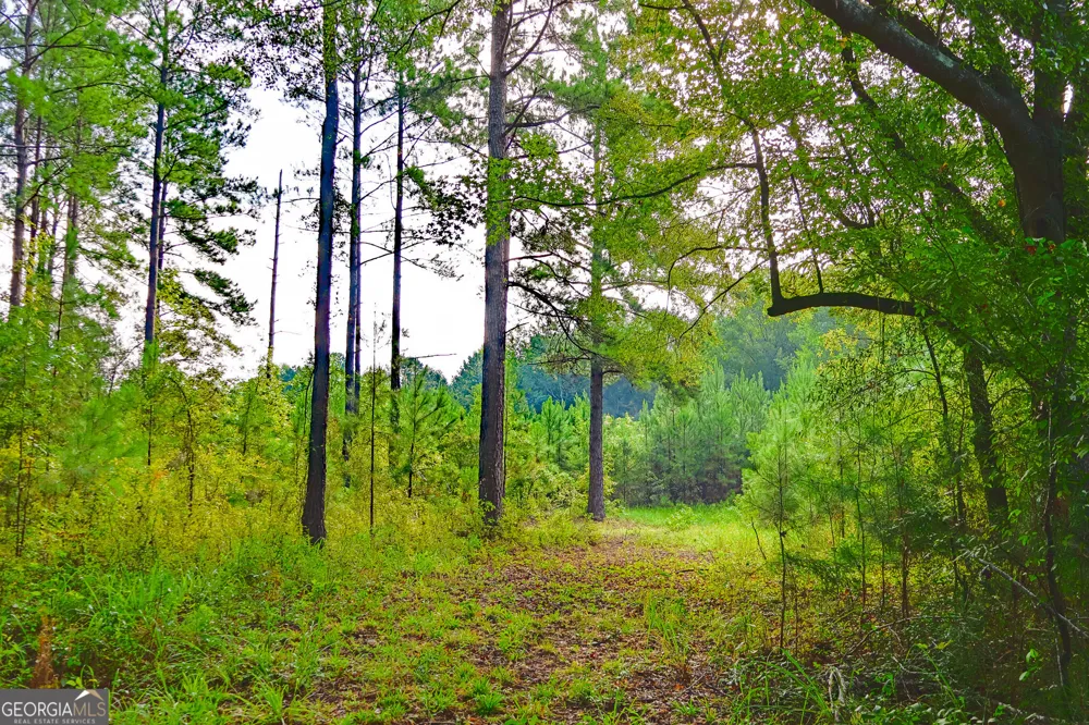 1362 Doyle RD Sardis, GA 30456