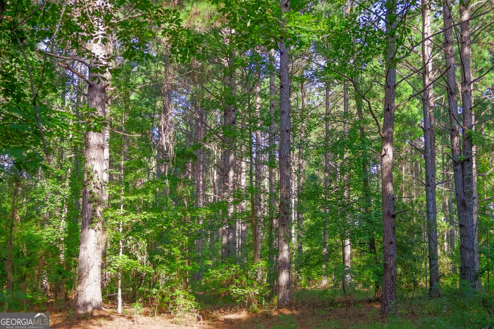 1362 Doyle RD Sardis, GA 30456