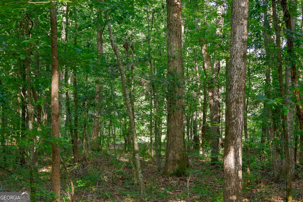 1362 Doyle RD Sardis, GA 30456