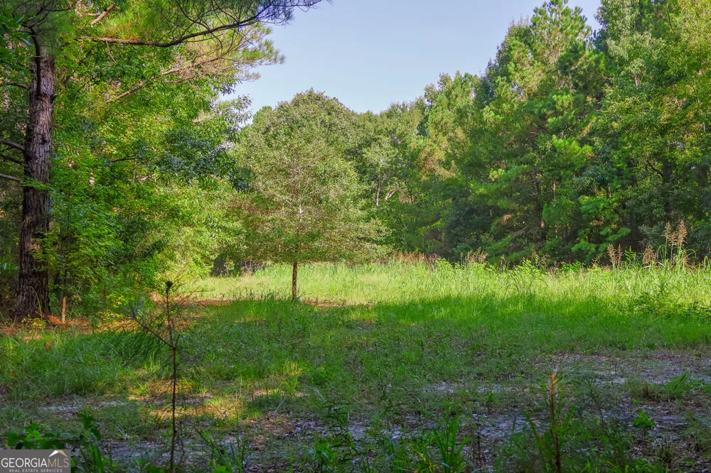 1362 Doyle RD Sardis, GA 30456