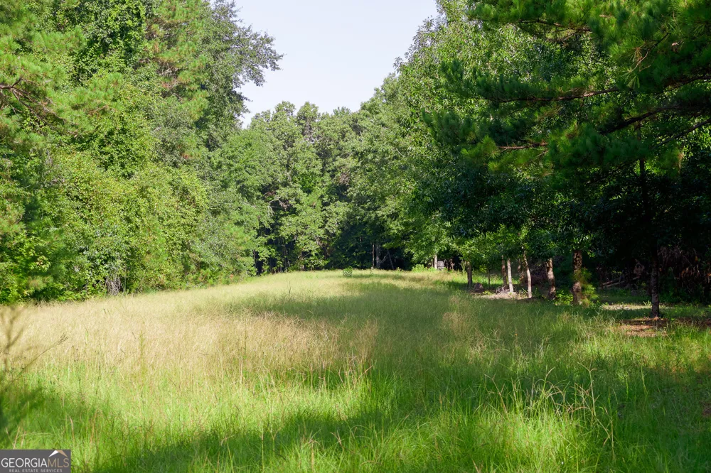 1362 Doyle RD Sardis, GA 30456