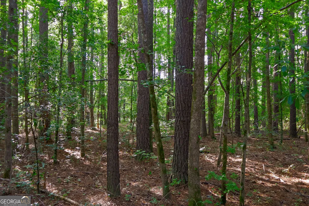 1362 Doyle RD Sardis, GA 30456