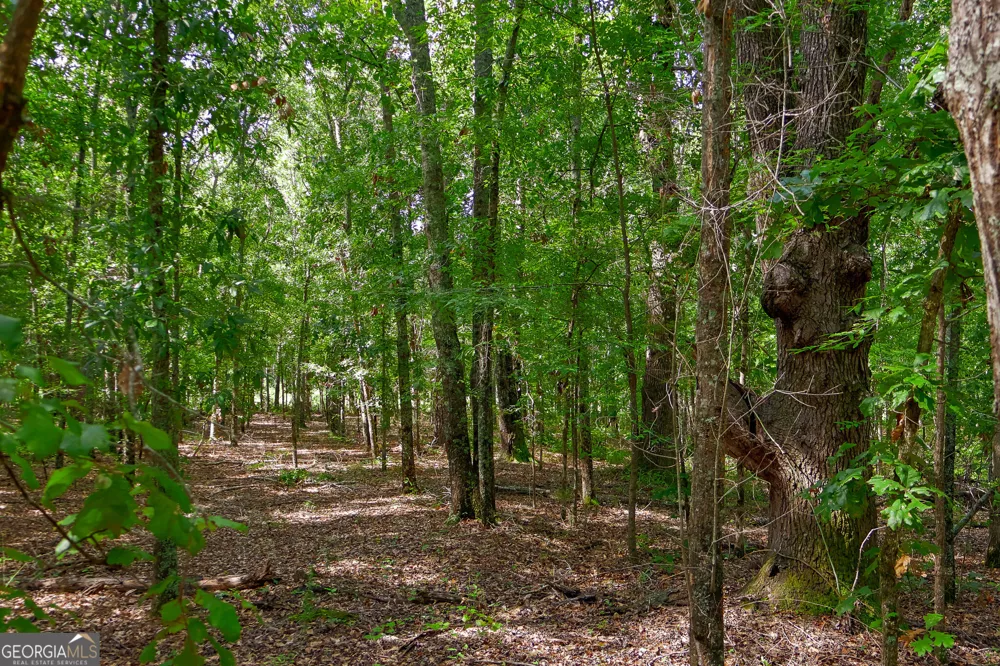 1362 Doyle RD Sardis, GA 30456