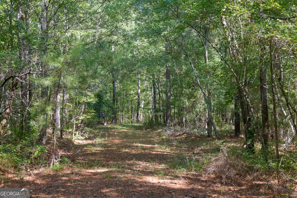 1362 Doyle RD Sardis, GA 30456