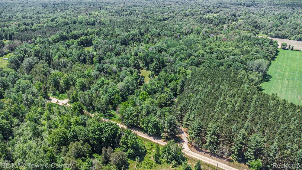 1293 BELLINGER ROAD Gladwin Township, MI 48624