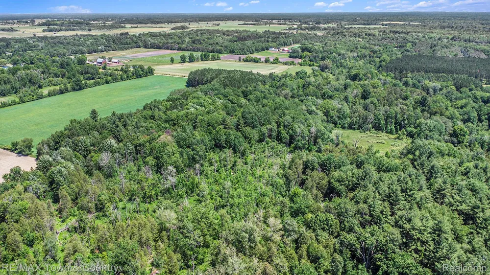 1293 BELLINGER ROAD Gladwin Township, MI 48624
