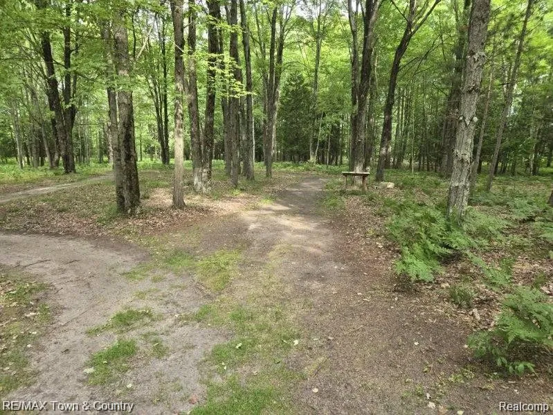 1293 BELLINGER ROAD Gladwin Township, MI 48624