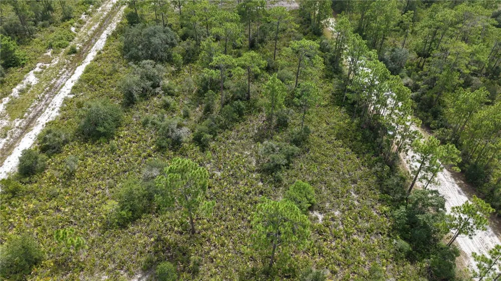 EL DORADO Indian Lake Estates, FL 33855