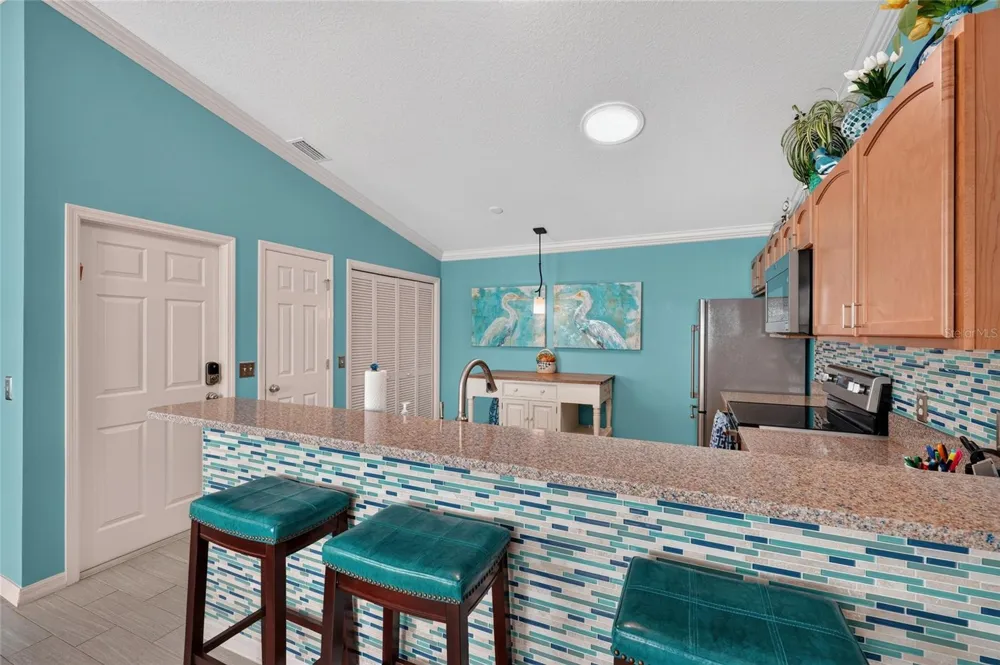 2207 JETTA WAY The Villages, FL 32162