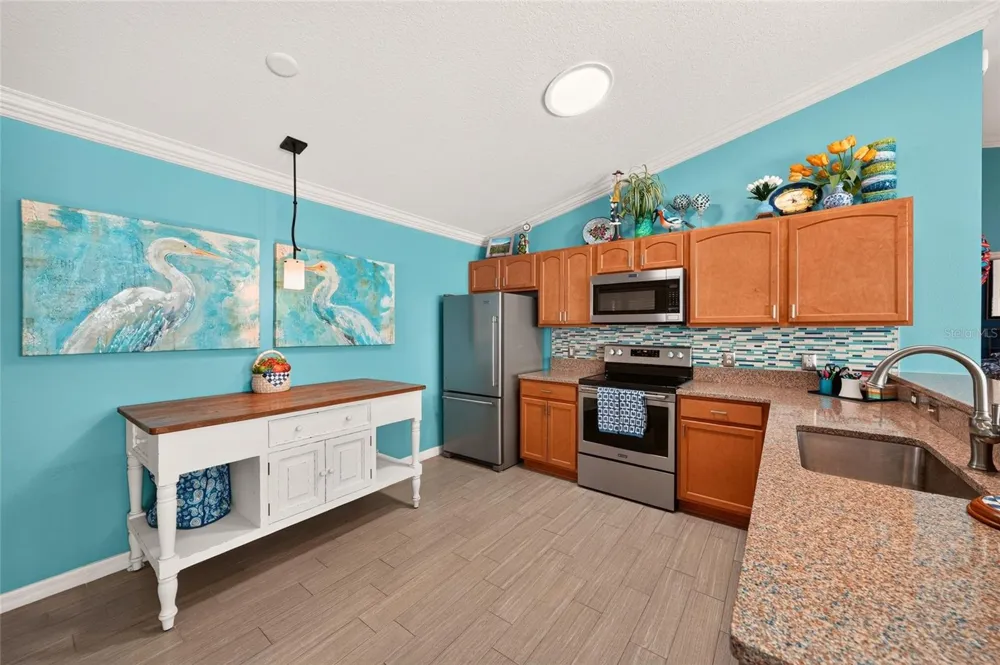 2207 JETTA WAY The Villages, FL 32162