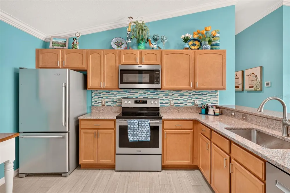 2207 JETTA WAY The Villages, FL 32162