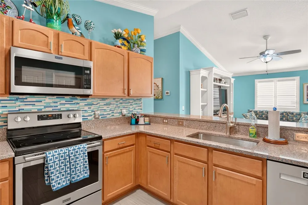 2207 JETTA WAY The Villages, FL 32162