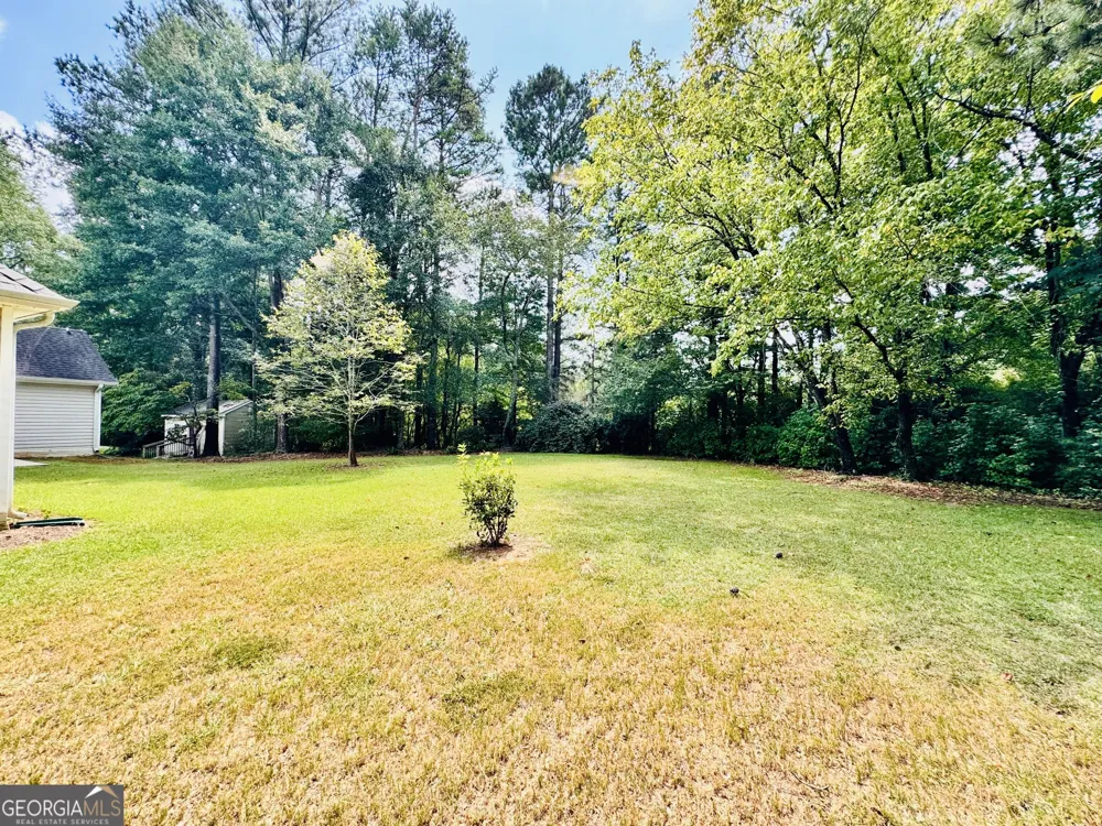 60 Line Creek LN Sharpsburg, GA 30277