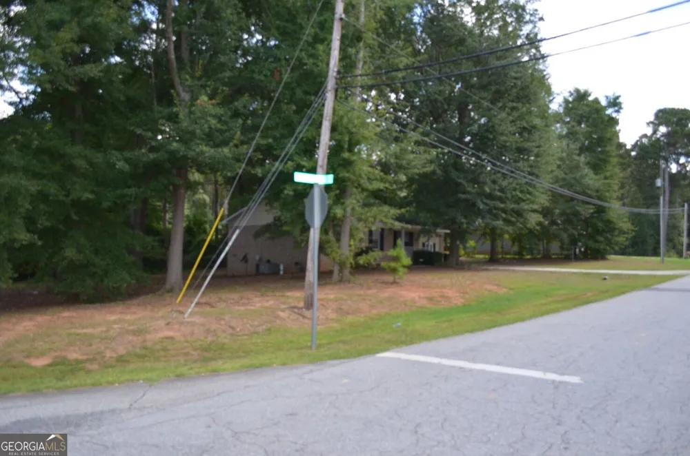 238 Freeman AVE Forsyth, GA 31029