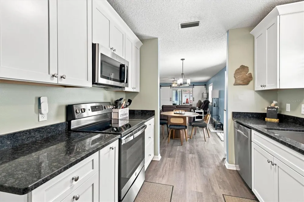 1339 LAJOLLA CIRCLE The Villages, FL 32159