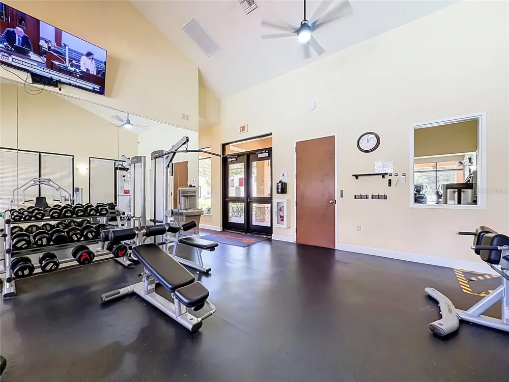 14077 ANCILLA BOULEVARD Windermere, FL 34786